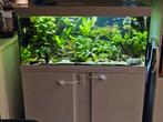Eheim aquarium 180L+ verlichting., Dieren en Toebehoren, Ophalen, Gebruikt, Leeg aquarium