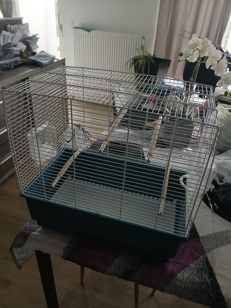 Belle cage Ferplast pour canaris, Enlèvement, Comme neuf, Cage à oiseaux