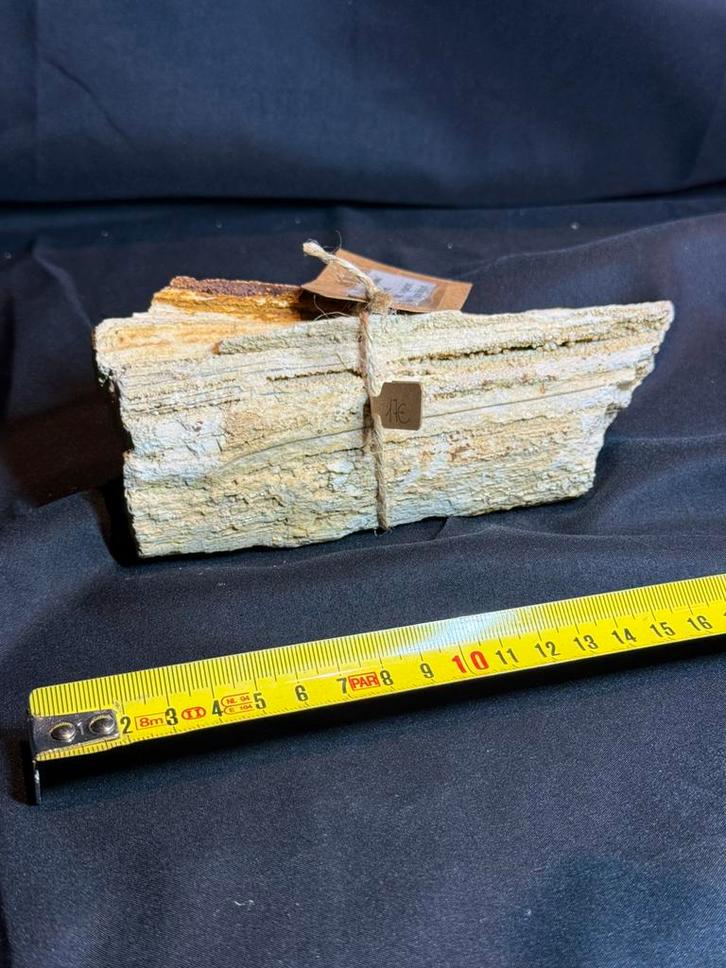 Bois pétrifié avec cristaux - Hoegaarden - 475 g - 17€, Collections, Minéraux & Fossiles, Enlèvement ou Envoi