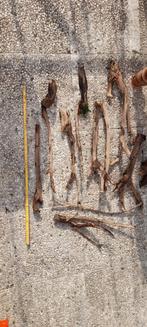 Aquarium hout, Dieren en Toebehoren, Ophalen