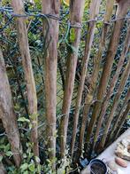 Cherche clôture, Enlèvement