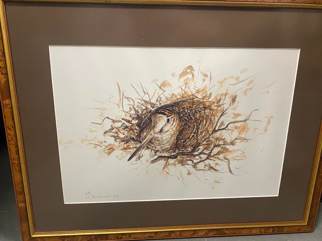 Watercolor Cl Poissonnier, Enlèvement