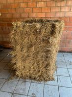 Gratis halve baal hooi, Dieren en Toebehoren, Ophalen, Vee