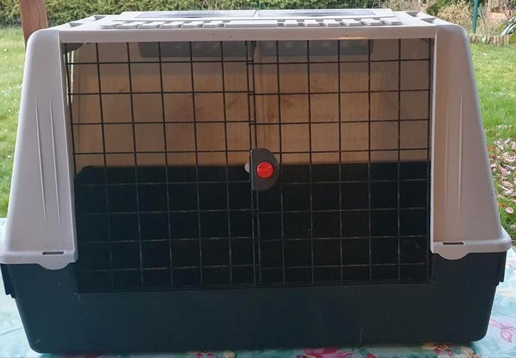 Cage de transport pour chien, Animaux & Accessoires, Maisons pour chiens, Enlèvement