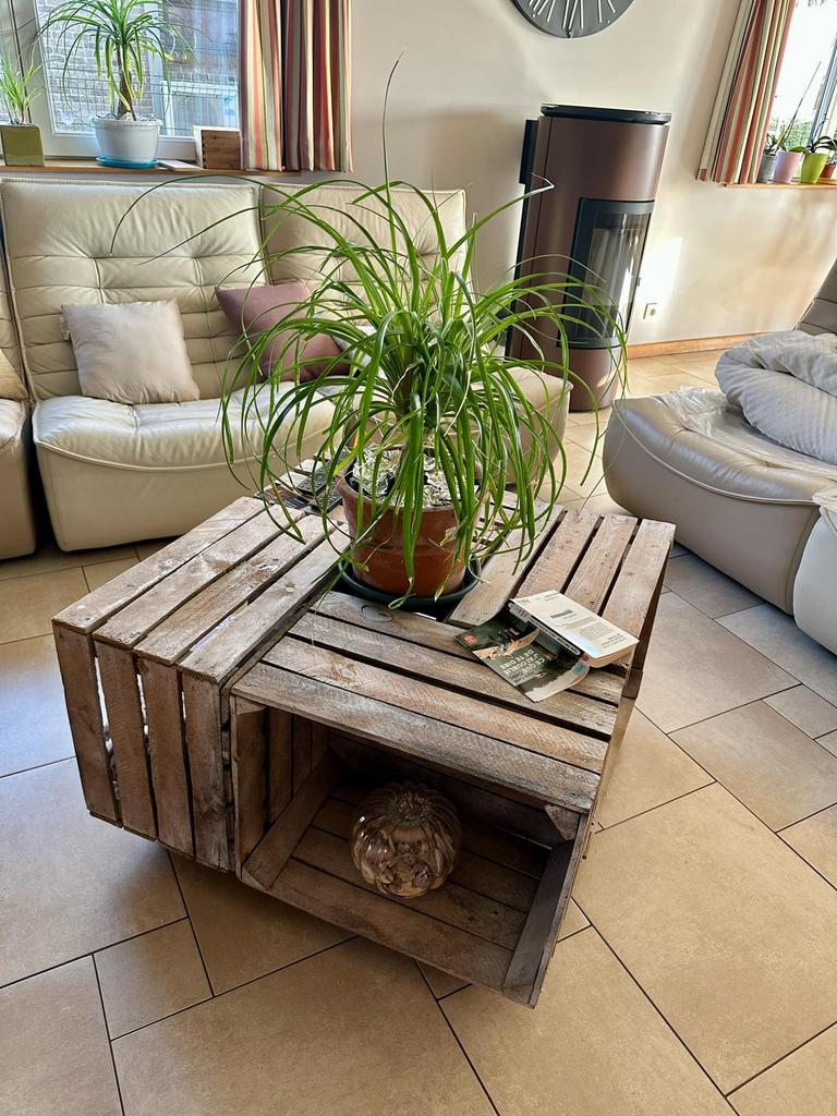 Table de salon, 5 compartiments, Enlèvement, Utilisé, Autres essences de bois