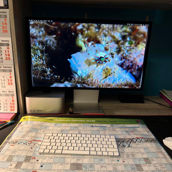 Apple studio display nano texture, Computers en Software, Vintage Computers, Ophalen