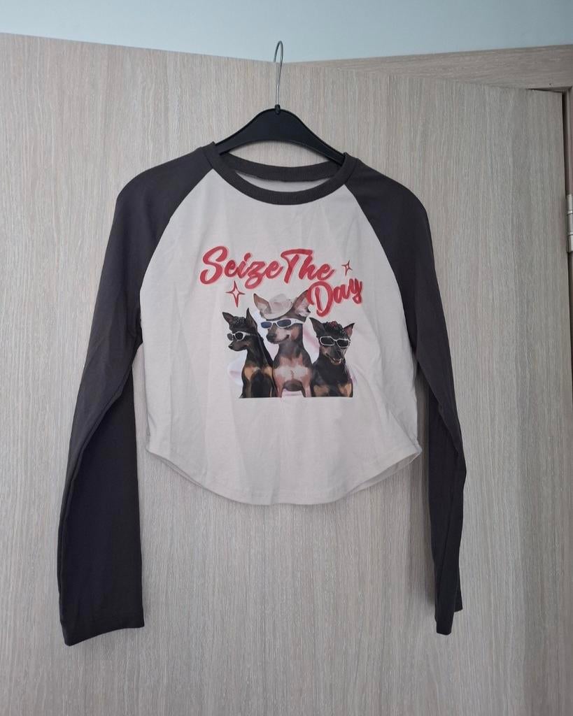 Shirtje Shein maat 38, Vêtements | Femmes, T-shirts, Shein, Enlèvement ou Envoi, Comme neuf, Taille 38/40 (M)