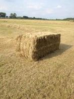 Grote pakken hooi, Zakelijke goederen, Landbouw | Veevoer, Ophalen