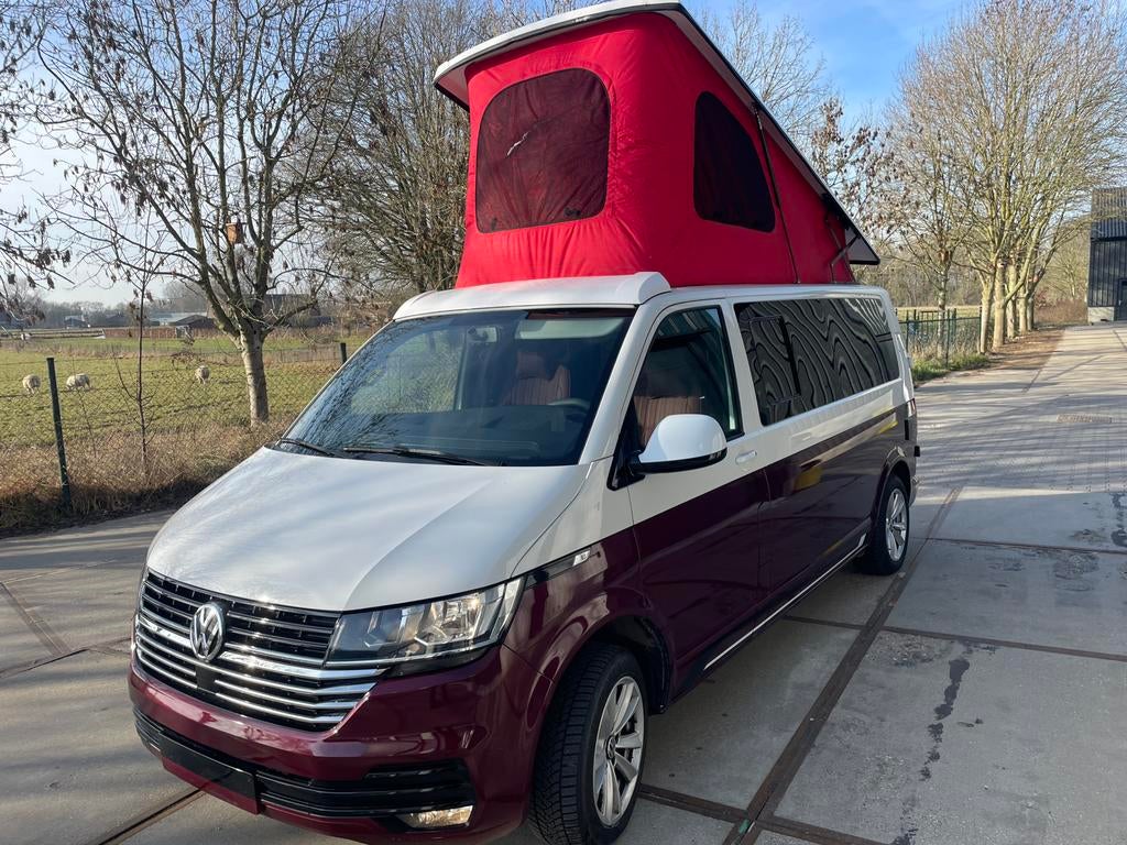 VW T 6.1 California Camper voor 4 per. M1-kenteken, Caravanes & Camping, Camping-cars, Jusqu'à 4, Siège standard, Autres marques