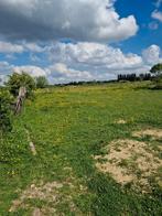 Weide met stalling voor paarden TE HUUR Nog 2 plaatsen.