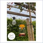 UNIEKE Regenbestendige Aziatische HoornaarVal Vespa velutina, Bijen