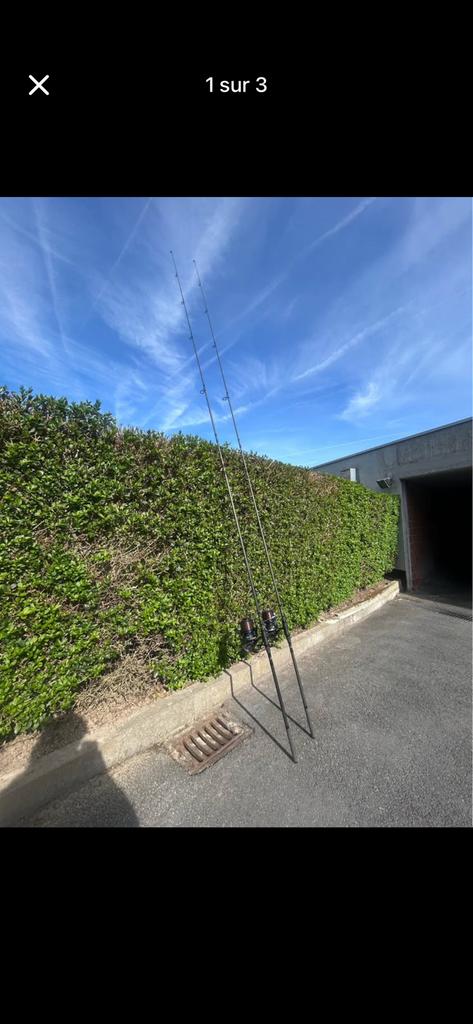 Canne peche à la carpe, Enlèvement, Comme neuf