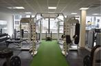 Professionele multi station, Sport en Fitness, Ophalen, Gebruikt, Overige typen