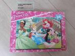 Puzzels 20 en 24 stuks Disney/Winnie the Pooh, Ophalen of Verzenden, 10 tot 50 stukjes, Gebruikt, 4 tot 6 jaar