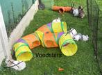 Babykonijntjes te koop, Dieren en Toebehoren, Konijnen, Meerdere dieren, Klein, 0 tot 2 jaar