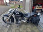 Harley Davidson Softail Deluxe, Motoren, Motoren | Harley-Davidson, 2 cilinders, Chopper, Cruise Control, Particulier