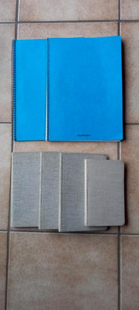 Carnets 1 avec lignes et 5 avec carrés, Divers, Ecriture, Neuf, Enlèvement ou Envoi