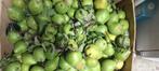 Bio peren, Ophalen