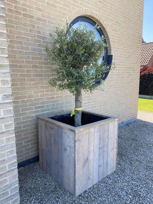 Bloem/plantenbakken op maat, Tuin en Terras, Bloembakken en Plantenbakken, Nieuw, Ophalen