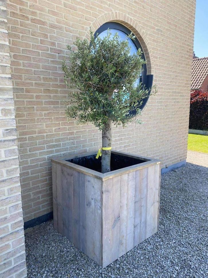 Bloem/plantenbakken op maat, Tuin en Terras, Bloembakken en Plantenbakken, Nieuw, Ophalen
