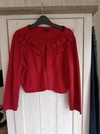 Bolero vestje Vero Moda maat L, Vero Moda, Enlèvement ou Envoi, Porté, Taille 38/40 (M)