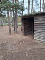 Weide met stalling en ruime paddock en buitenpiste, Dieren en Toebehoren, Stalling en Weidegang, Weidegang, 1 paard of pony