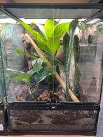 Exo terra terrarium ingericht 45x45x60cm, Dieren en Toebehoren, Ophalen, Zo goed als nieuw