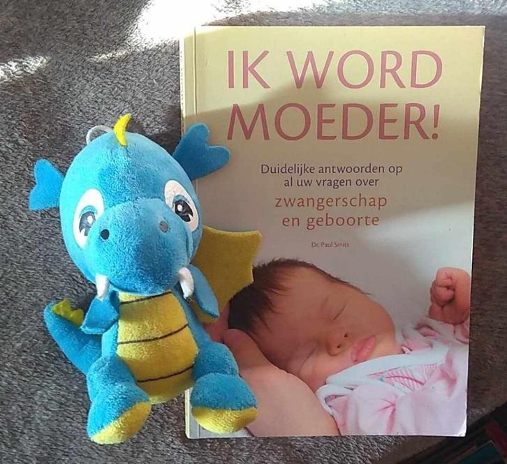 ik word moeder, Boeken, Zwangerschap en Opvoeding, Ophalen of Verzenden