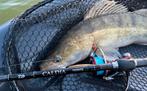Daiwa caldia sensor spin 3-10gr 270cm met molen formaat 1000, Ophalen of Verzenden, Zo goed als nieuw, Molen