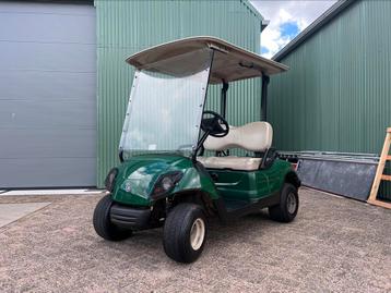 YAMAHA YDRE GOLFKAR GOLFCAR 2015 (NIEUWE ACCU’S)