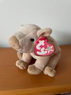 Ty RARE The Beanie babiescollection Knuckles the pig 1999, Enlèvement ou Envoi, Neuf