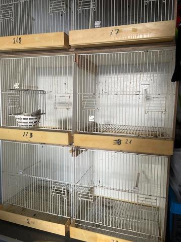Cages, Enlèvement, Comme neuf