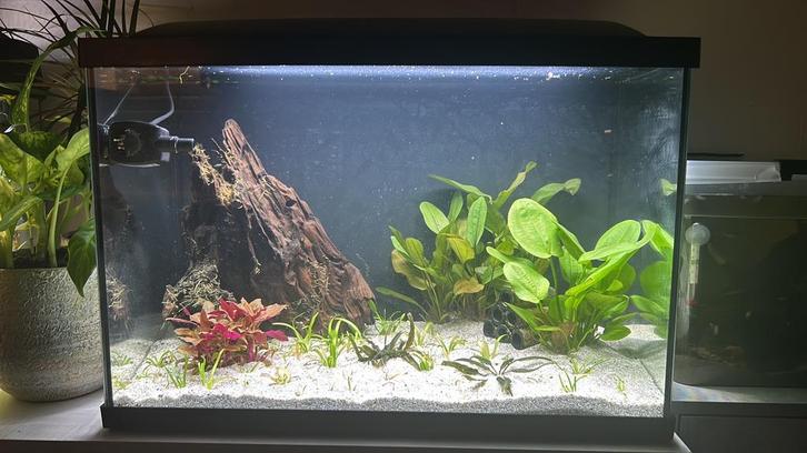 Compleet aquarium. (1jaar oud), Dieren en Toebehoren, Vissen | Aquaria en Toebehoren, Zo goed als nieuw, Ophalen of Verzenden