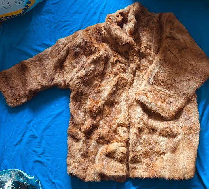 Winterjassen nieuw, Kleding | Dames, Jassen | Winter, Nieuw, Maat 42/44 (L), Overige kleuren, Ophalen