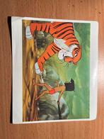 Disney verzamelkaarten 1967 junglebook, Verzamelen, Ophalen of Verzenden, Plaatje of Poster, Zo goed als nieuw, Leeuwenkoning of Jungle Boek