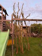 Treurwilg takken, Bloeit niet, Treurboom, 250 tot 400 cm, Ophalen