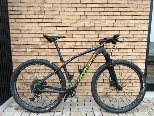 Olympia Iron Carbon 29” maat M, Vélos & Vélomoteurs, Vélos | VTT & Mountainbikes, Comme neuf, Enlèvement