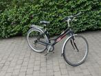 Damesfiets, Fietsen en Brommers, Gebruikt, Versnellingen, 50 tot 53 cm, Ophalen