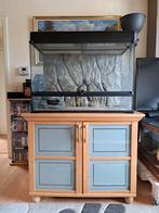 Terrarium Exo Terra 90x60x45 met kast, Ophalen, Zo goed als nieuw, Terrarium of Paludarium