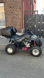 Kymco maxxer 250cc (débrider), Motoren