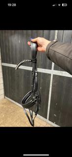 Hoofdstel Tess maat full, Dieren en Toebehoren, Ophalen of Verzenden, Zo goed als nieuw, Dressuur