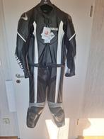 Combi cuir, Motoren, DAINESE, Ophalen, Nieuw met kaartje, Heren