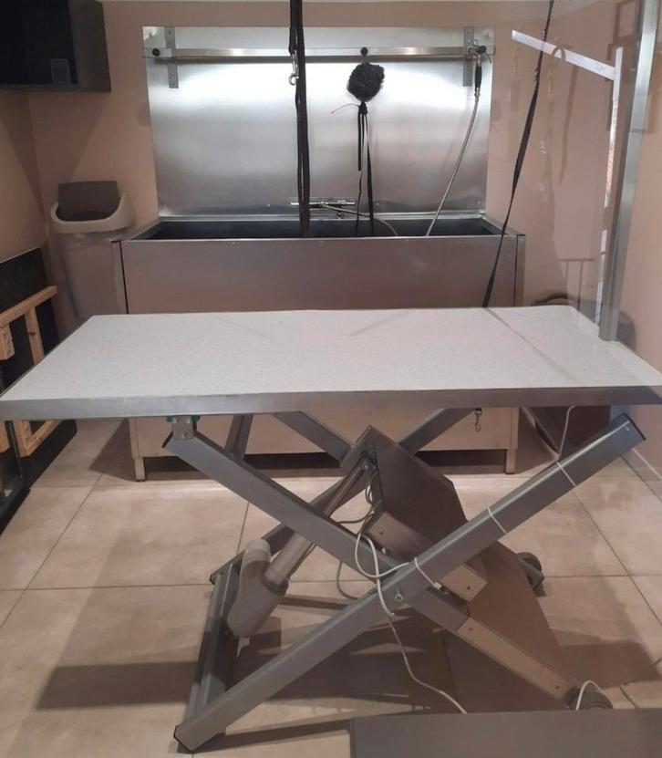 Table de toilettage GTEBEL, Animaux & Accessoires, Accessoires pour chiens, Enlèvement