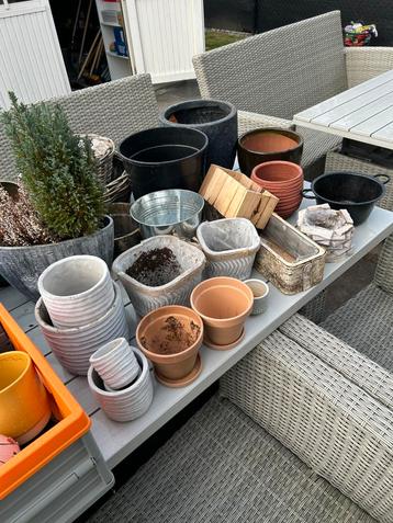 Prachtige grote/kleine bloempotten voor binnen en buiten beschikbaar voor biedingen