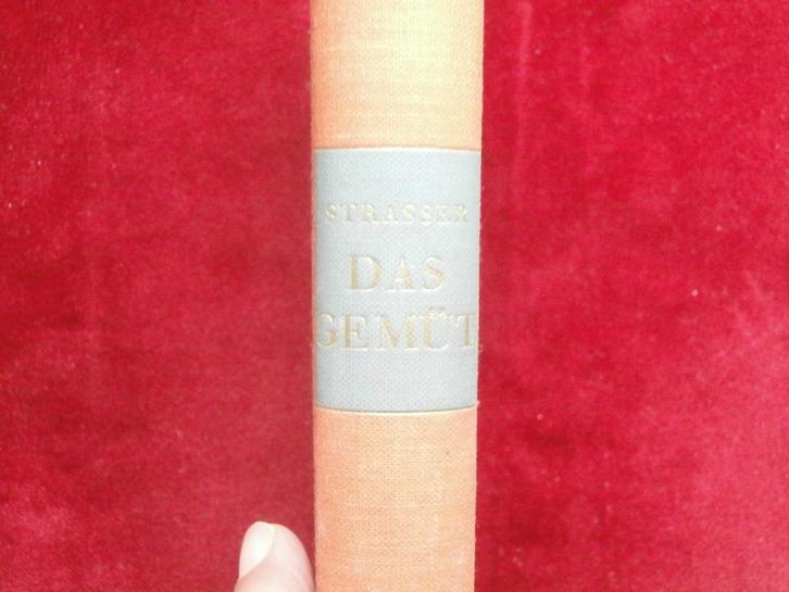 Boeken over filosofie & wijsbegeerte, Boeken, Filosofie, Gelezen, Verzenden