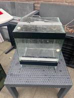 Terrarium, Dieren en Toebehoren, Ophalen, Gebruikt