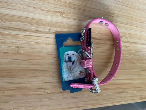 Halsband - nieuw!, Dieren en Toebehoren, Hondenhalsbanden en Penningen, Nieuw, Ophalen of Verzenden