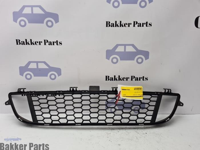 Grille van een BMW 2-Serie, Auto-onderdelen, Carrosserie, BMW, Gebruikt, 3 maanden garantie