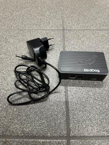 Birddog Flex Out 4K beschikbaar voor biedingen