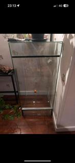 Terrarium, Dieren en Toebehoren, Reptielen en Amfibieën | Toebehoren, Ophalen, Gebruikt, Terrarium of Paludarium